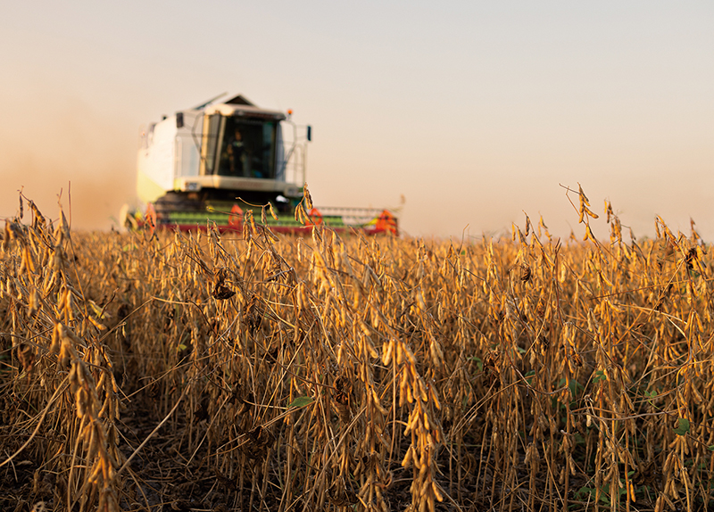 Researchers Discover Key To Reducing Greenhouse Gas Emissions From Agriculture0