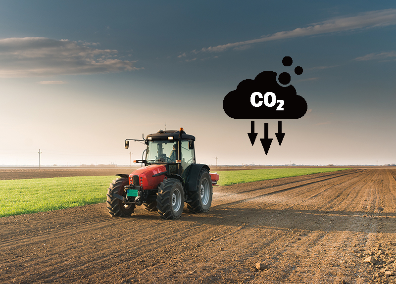 Using Powdered Rock to Combat Climate Change0
