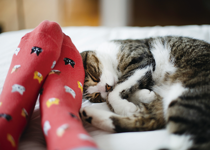 Should You Wear Socks To Bed?0
