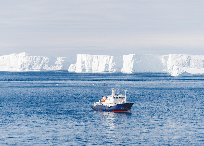 Exploring Antarctica: Cruise Adventures in the Frozen Continent5