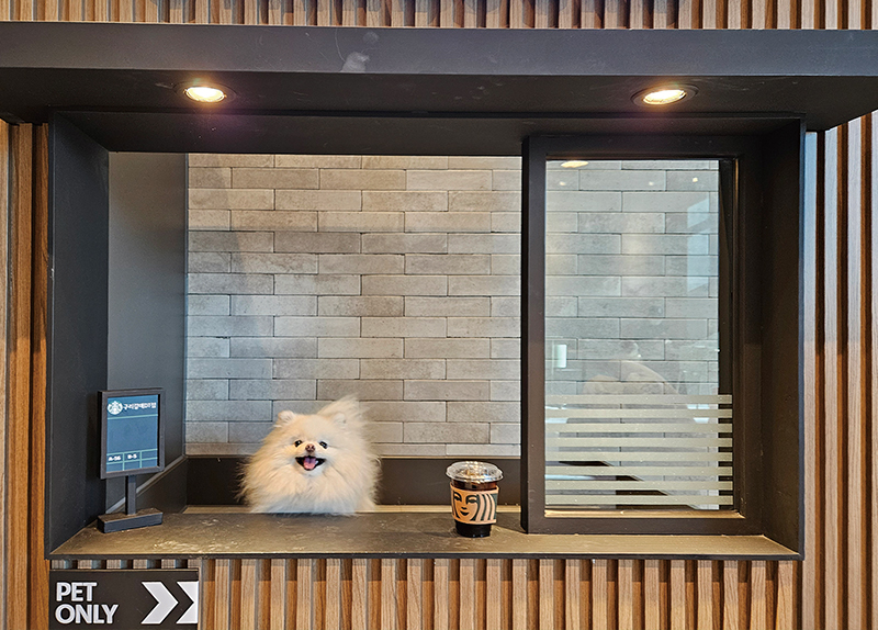 Pet-Friendly Restaurant Law Proposed in Korea0