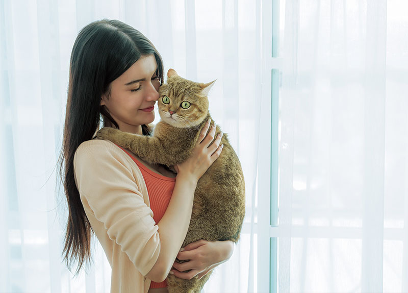 Cats Rely on Smell To Recognize Their Owners0