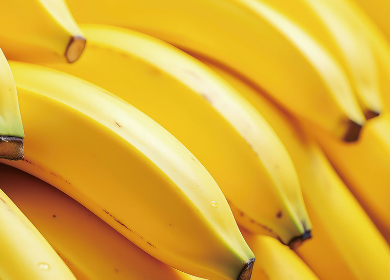 Banana Tree Bears Fruit in Seoul Amid Record Heat0