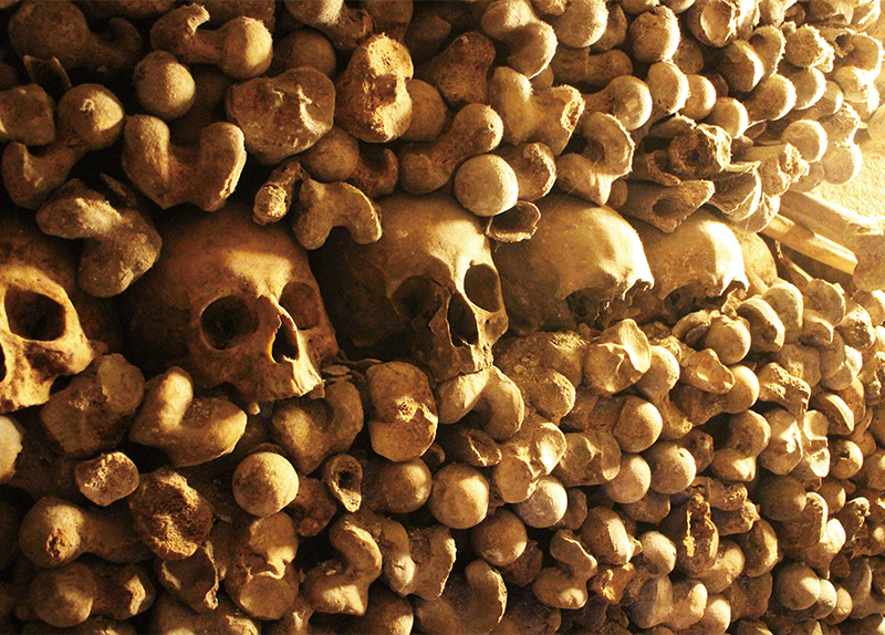 The Catacombs of Paris5