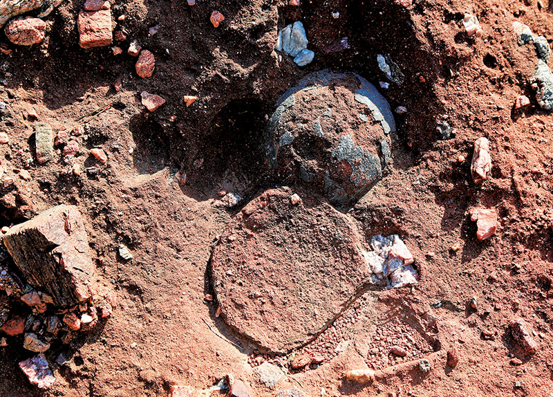 86-Million-Year-Old Fossil Eggs Reveal Clues to Cretaceous Life0