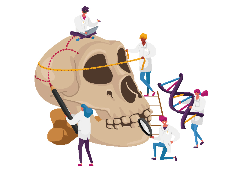 Ancient Skull Unearthed in China Rewrites Human Evolution Timeline0