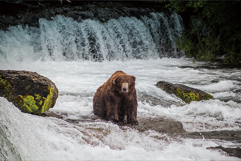 Katmai National Park and Preserve0