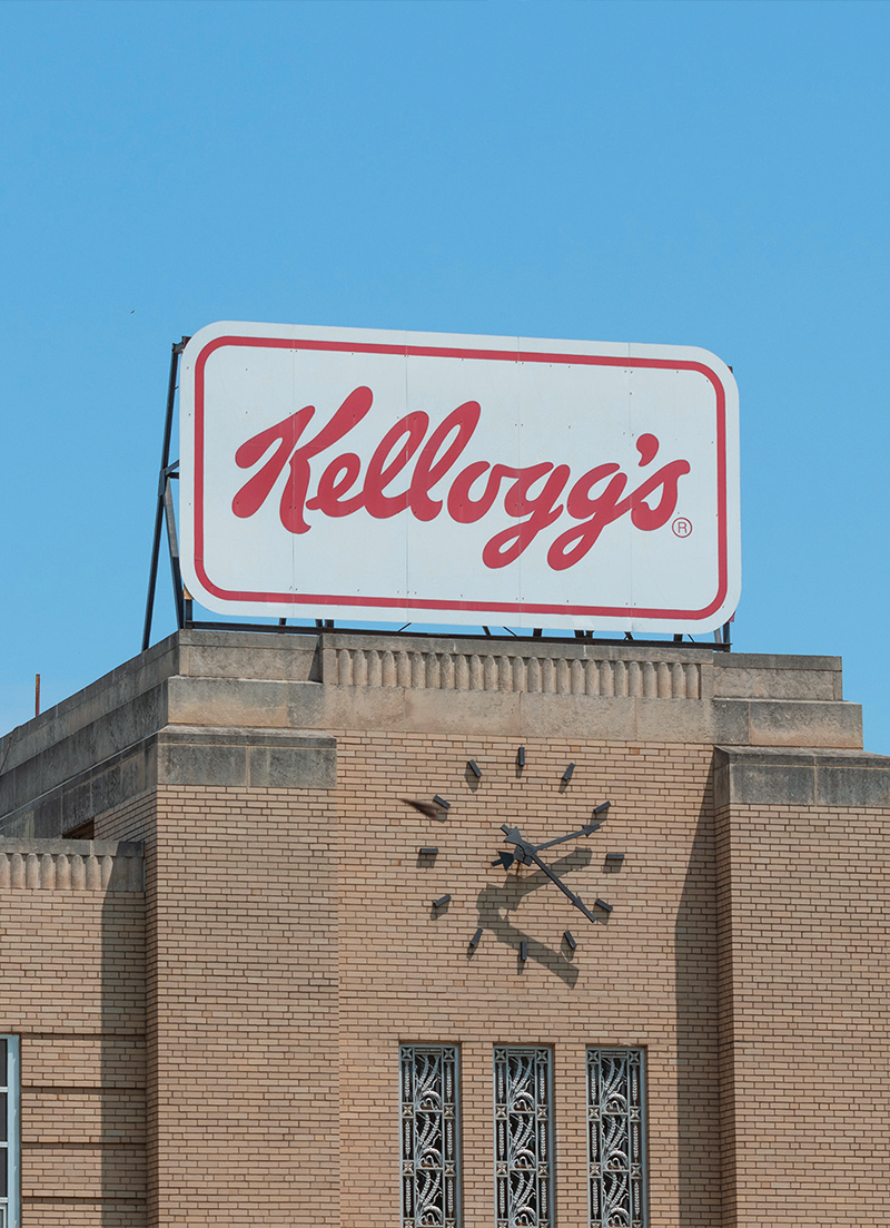 The Breakfast Cereal: From Health Food to Household Staple0