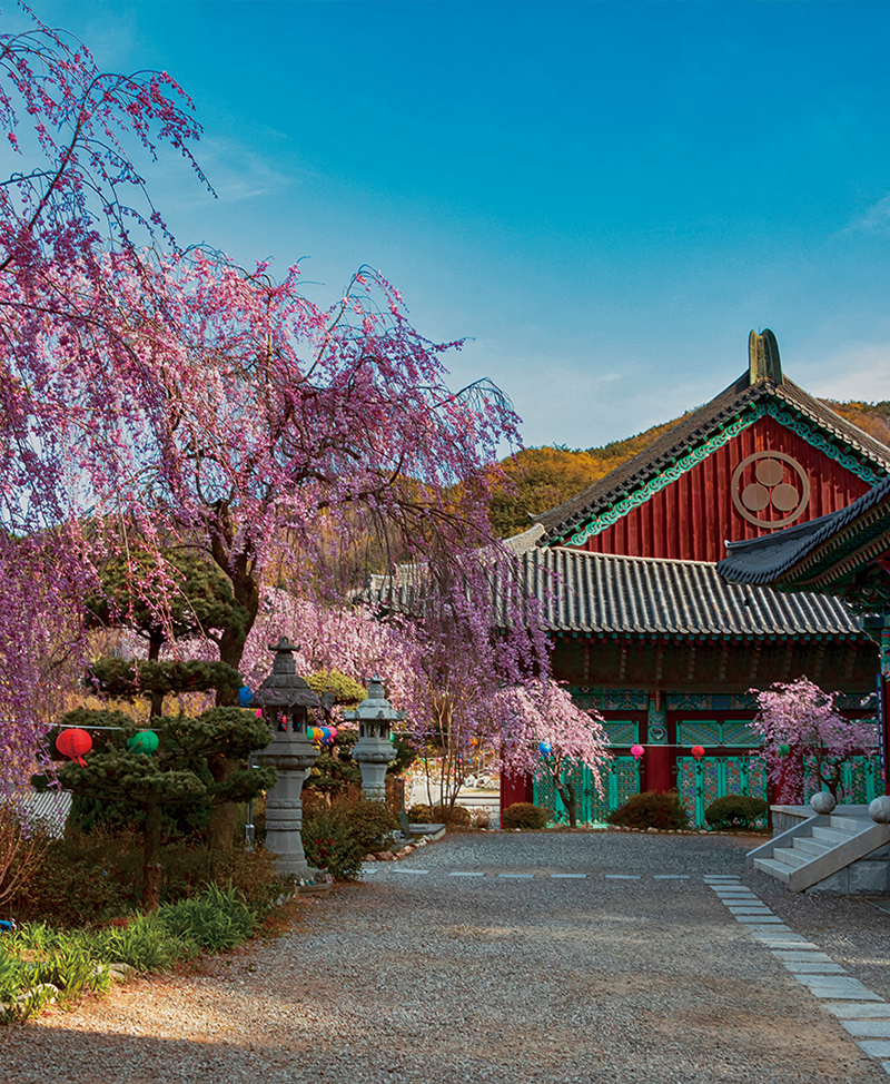Play, Think, Feel: The Seoul International Buddhism Expo Opens in April0
