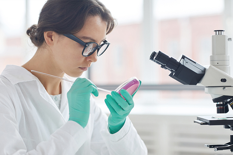 The Vault Unlocked: Scientists Turn Cellular Mystery Into Genetic ��Time Capsule��0