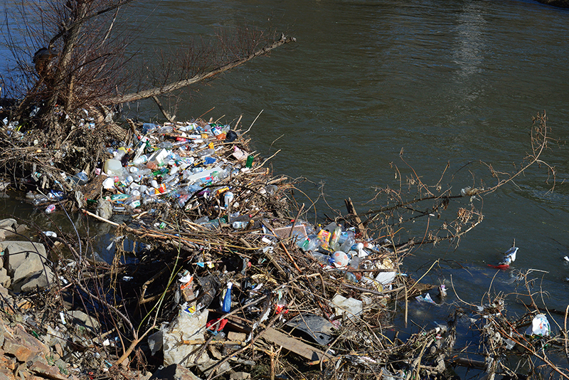 Who Should Clean Our Rivers: Communities or the Government?0