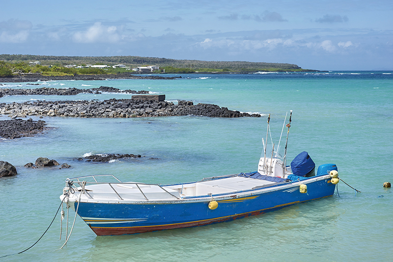 Galapagos Islands0