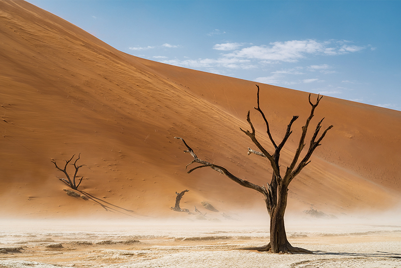 Deadvlei4