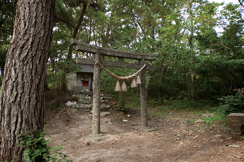Japan��s Cat Island: Tashirojima3