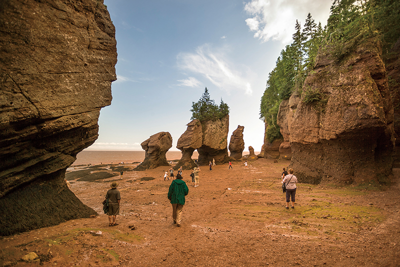 The Bay of Fundy4