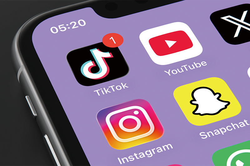 TikTok as a Space for Learning Science?14