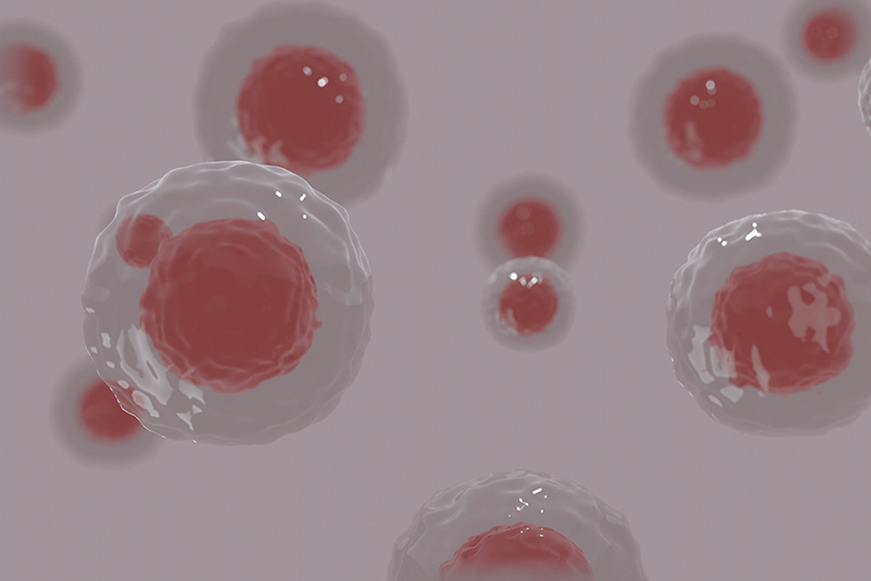 Eat, Grow, Divide: The First-Ever Synthetic Cells Built in a Lab0