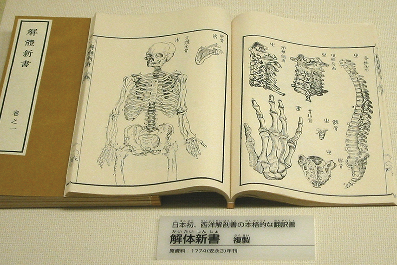 Rangaku: The History of Dutch Learning in Japan0