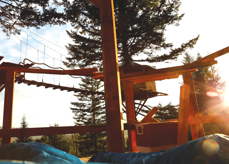 Tree House0