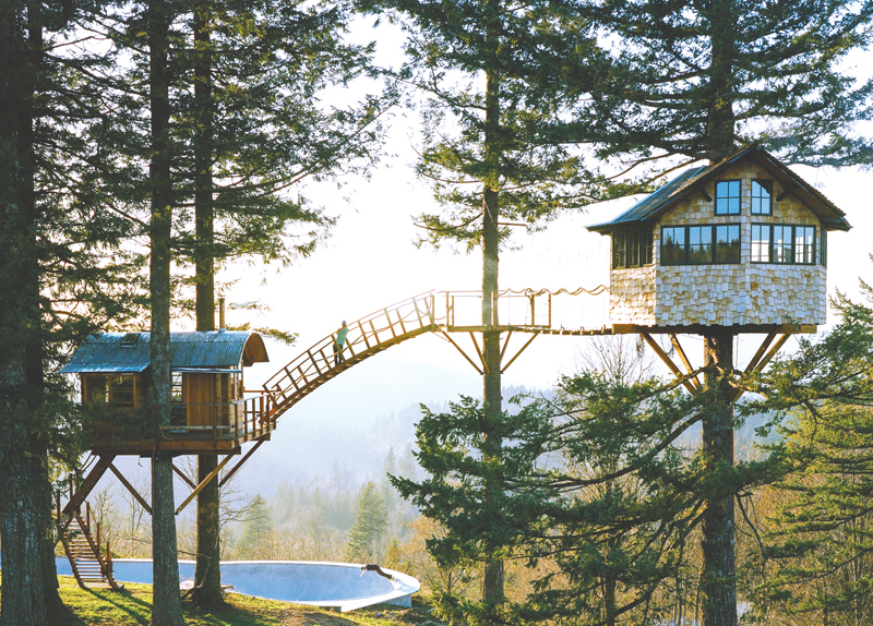 Tree House5