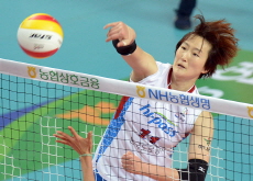 AI Peppers Volleyball Team Appoints Chang So-Yun as Coach - Entertainment & Sports