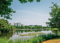 Goyang Recognized Globally as a Sustainable City - National News