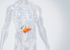 Insulin Resistance - Health