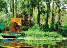 Floating Gardens of Xochimilco - Places