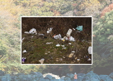 Mount Halla Struggles With Littering as Calls for Action Grow - National News