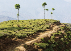 Darjeeling - Places