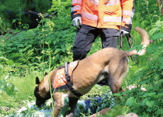 Rescue Dog Finds Missing Elderly Woman After 26 Hours - National News