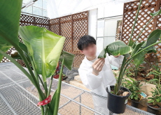 The Age of Plant Bonding, Plant Care Services on the Rise - Trend