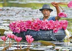 Photo News - Photo News