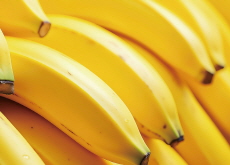 Banana Tree Bears Fruit in Seoul Amid Record Heat - National News