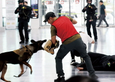 Photo News - Photo News