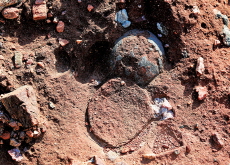 86-Million-Year-Old Fossil Eggs Reveal Clues to Cretaceous Life - Global News