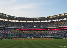 My Baseball Experience - Reader's Voices