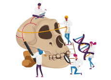 Ancient Skull Unearthed in China Rewrites Human Evolution Timeline - Global News