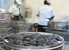 Photo News - Photo News