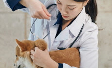 My Future Job - Reader's Voices