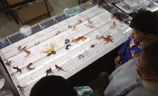 Photo News - Photo News