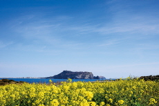 Behind Seopjikoji’s Beauty - Places