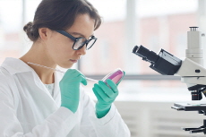 The Vault Unlocked: Scientists Turn Cellular Mystery Into Genetic ‘Time Capsule’ - Science