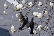 Photo News - Photo News