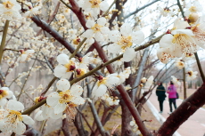 Photo News - Photo News