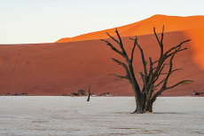 Deadvlei - Places