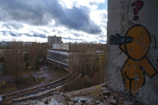 Chernobyl 40 Years Later: Wildlife Thrives in the Shadow of History’s Worst Nuclear Disaster - Science