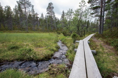 The Midnight Sun Hunt: Search for Gold in Finland’s Arctic Wilderness - Global News