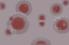 Eat, Grow, Divide: The First-Ever Synthetic Cells Built in a Lab - Global News