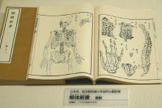 Rangaku: The History of Dutch Learning in Japan - History